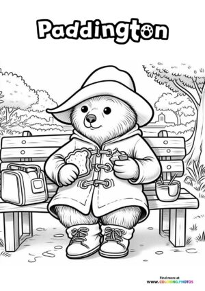 Paddington on the Park Bench