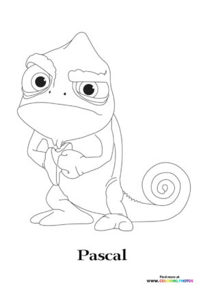 Pascal the Chameleon