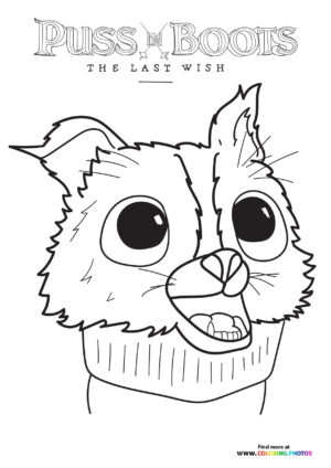 Puss in Boots Cute Face