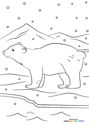Winter polar bear