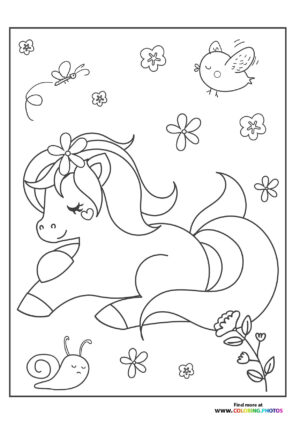 Pony in nature