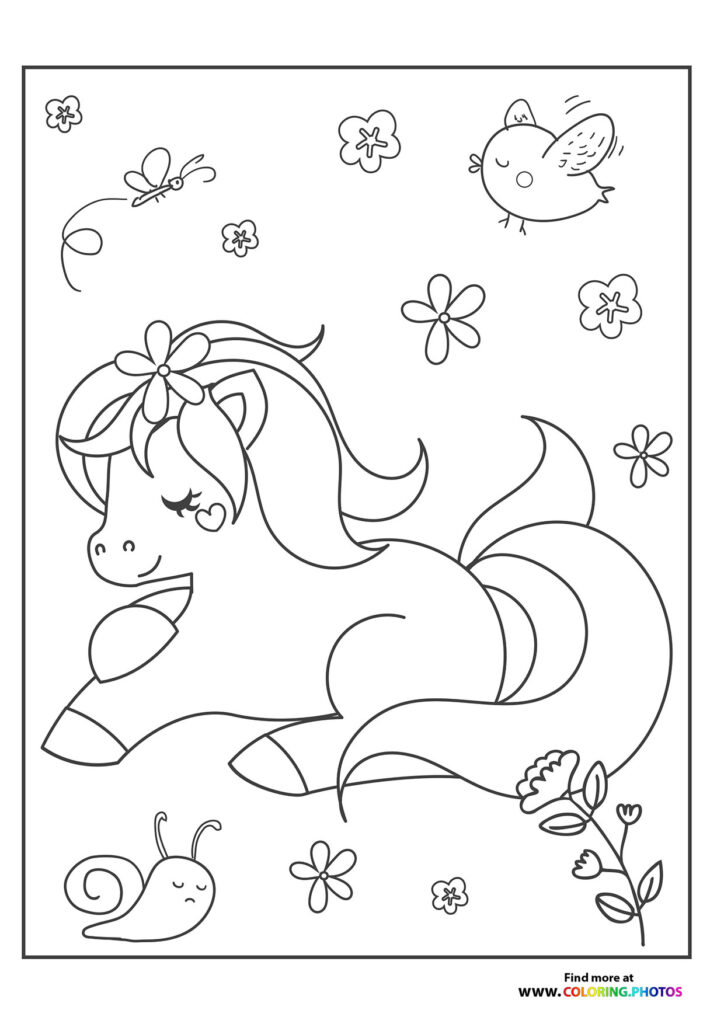 Pony in nature