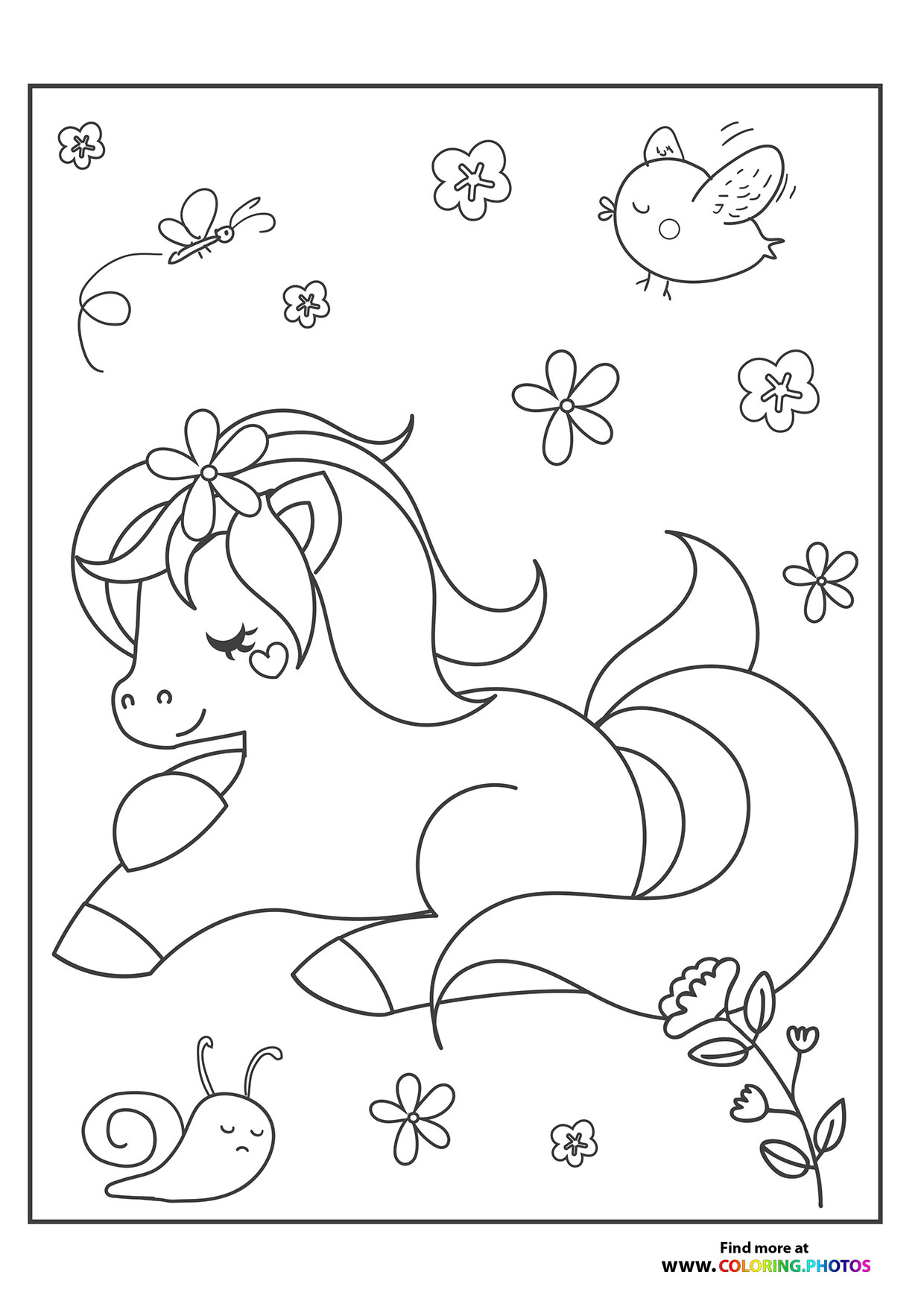 Pony in nature