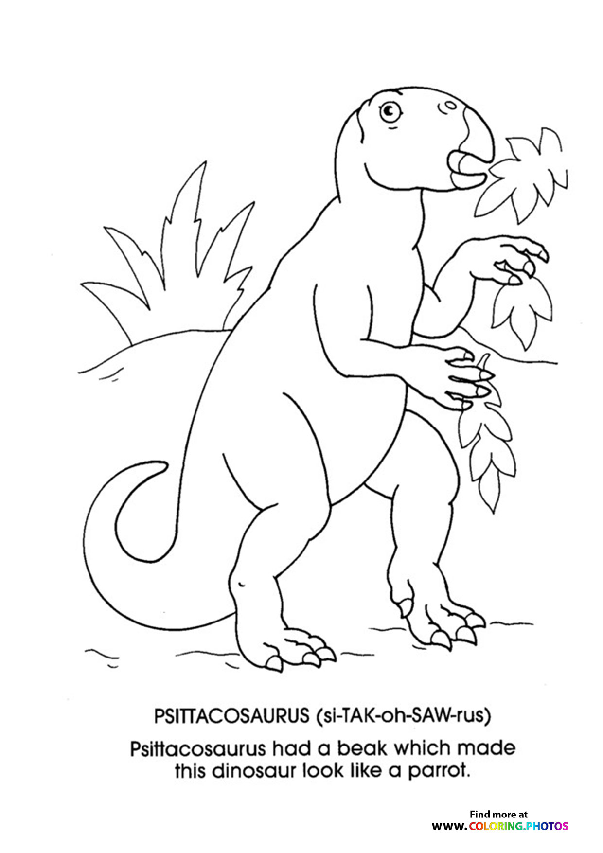 Psittacosaurus