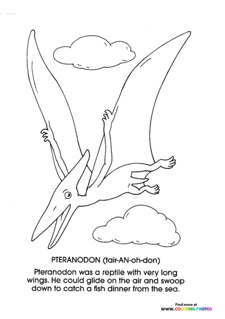 Pteranodon
