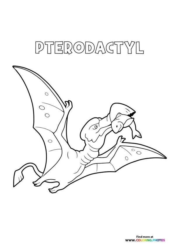 Pterodactyl dinosaur