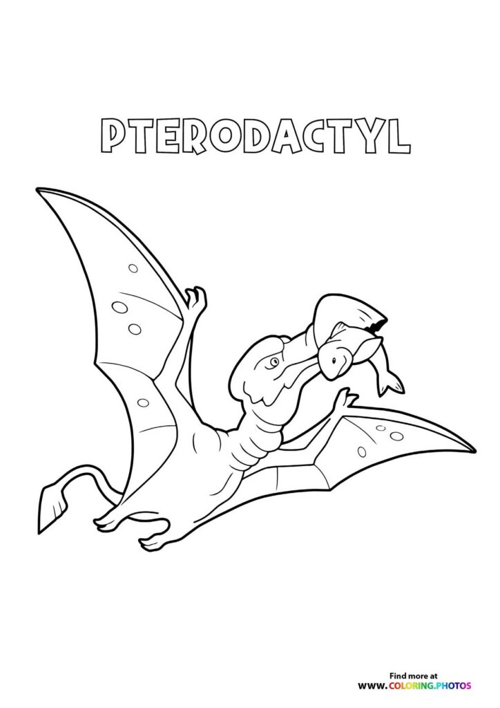 Pterodactyl dinosaur
