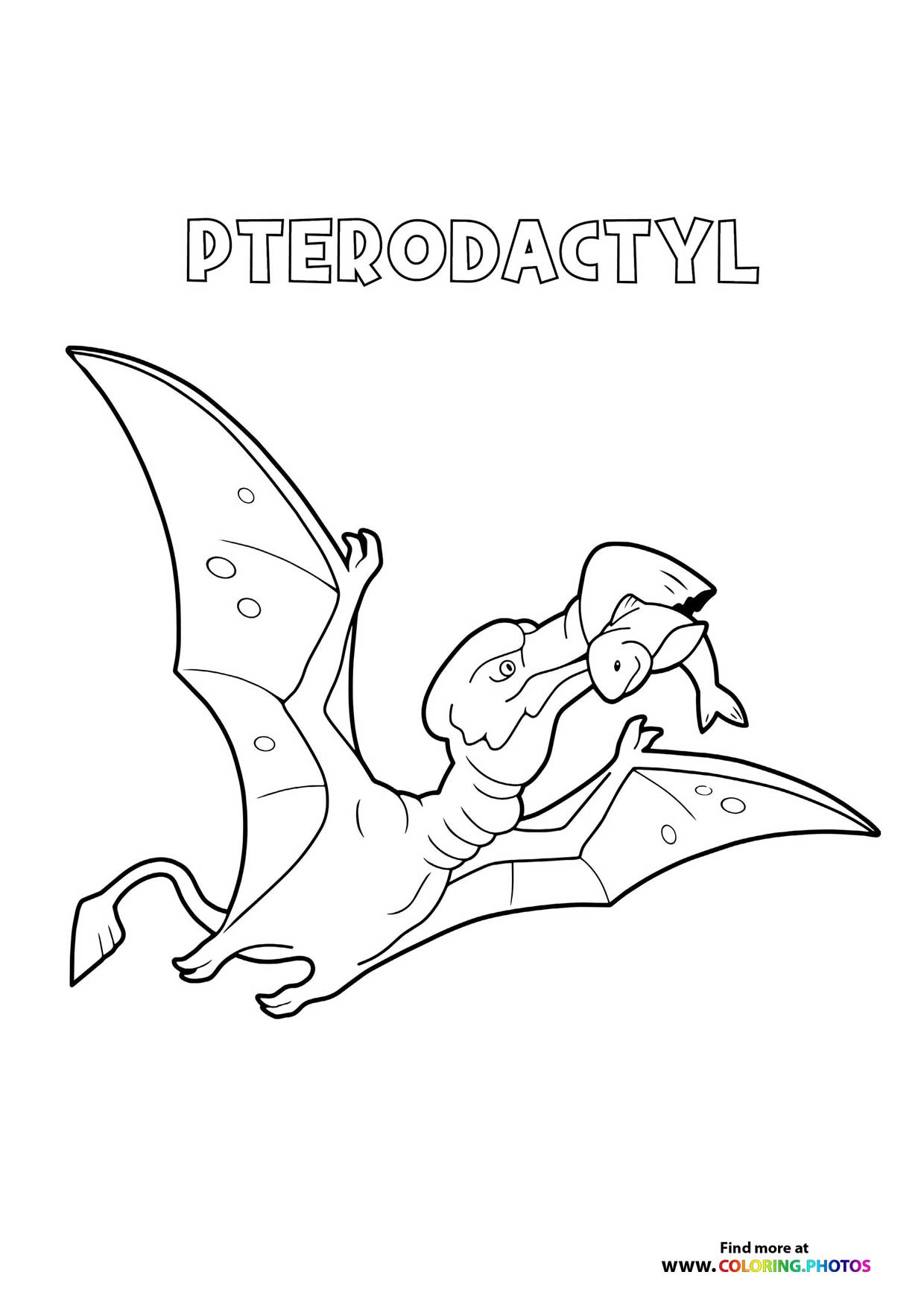 Pterodactyl dinosaur