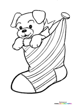 Puppy in Christmas Stocking