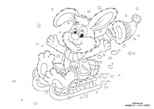 Bunny sledding on snow