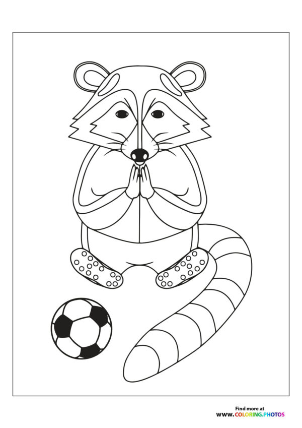 Racoon playing football
