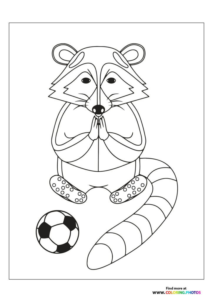 Racoon playing football