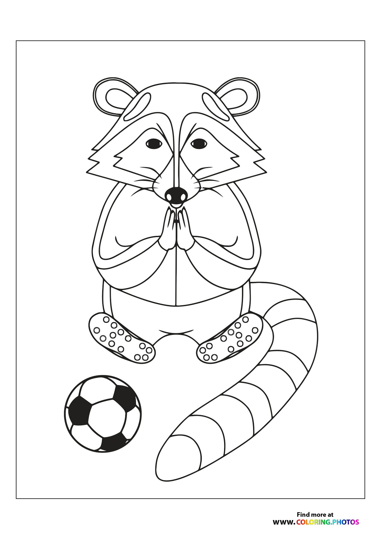 Racoon playing football