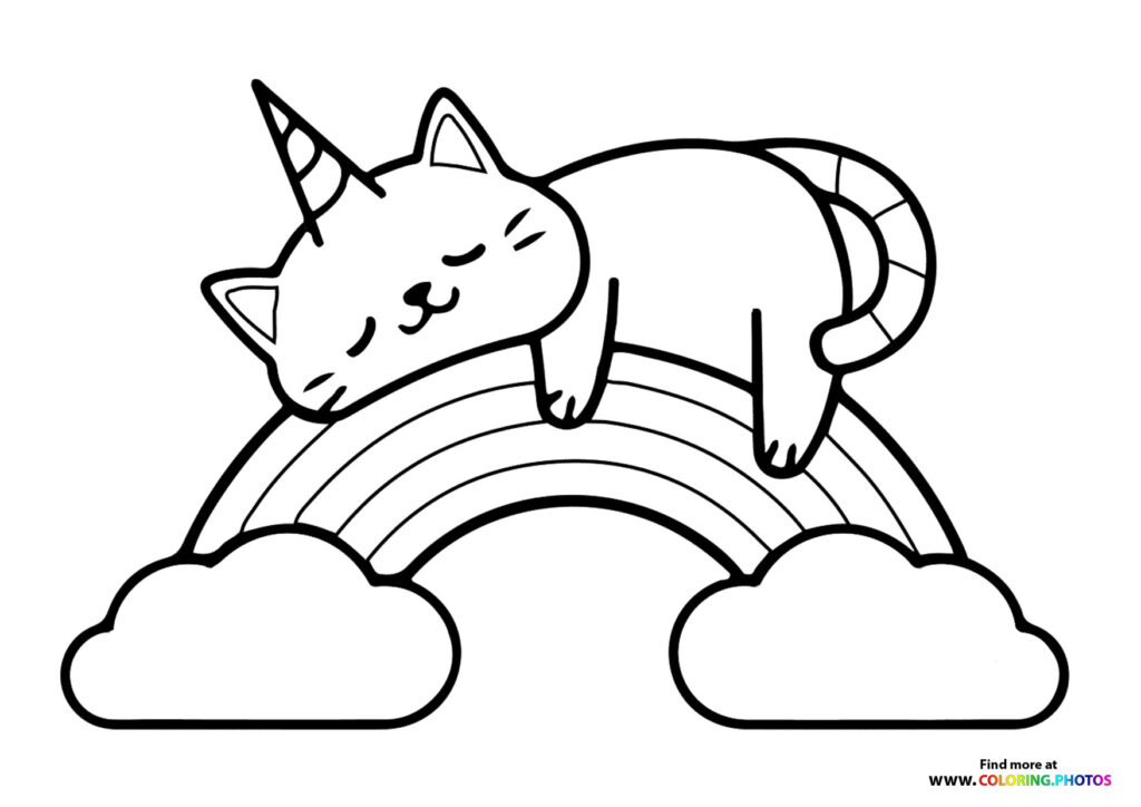 Rainbow cat