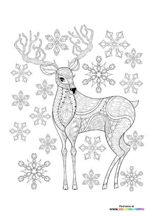 Raindeer adult coloring