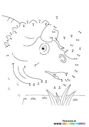 Rhino dot the dots