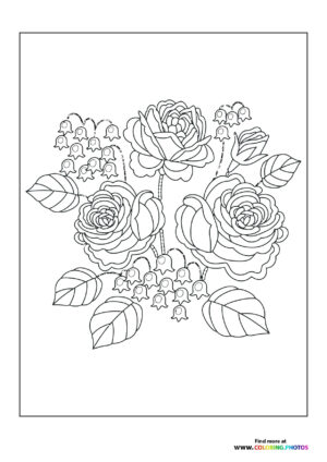 Roses