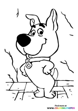 Scooby-Doo Scrappy