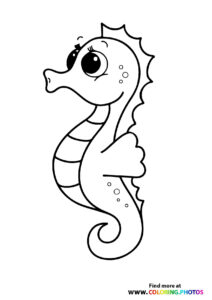Seahorses