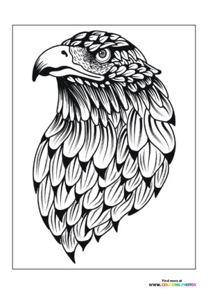Serious eagle