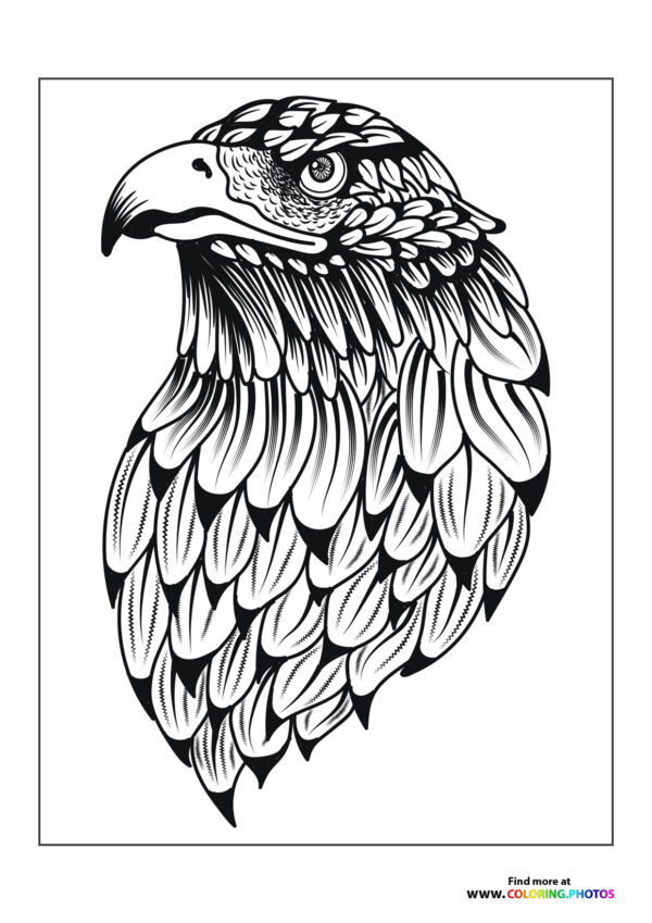 Serious eagle