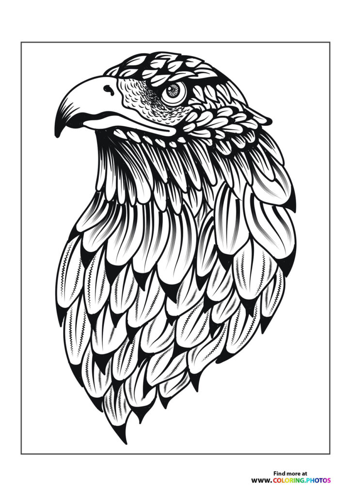Serious eagle