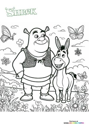Shrek & Donkey in the Meadow
