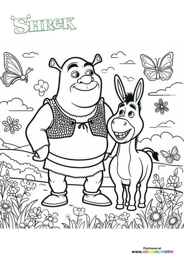 Shrek & Donkey in the Meadow