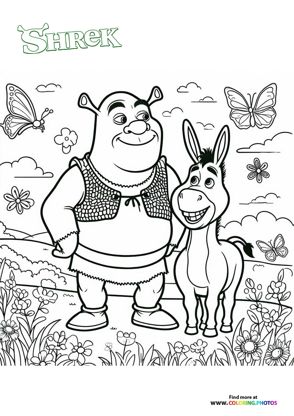 Shrek & Donkey in the Meadow