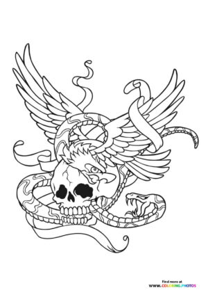Skull and snake