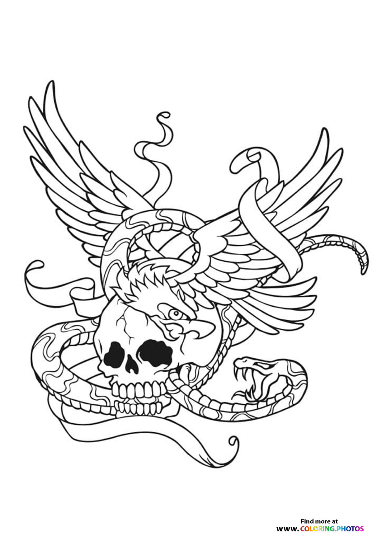 Skull and snake coloring for adults
