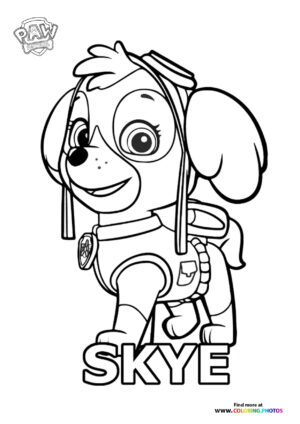 Skye from Paw Patrol