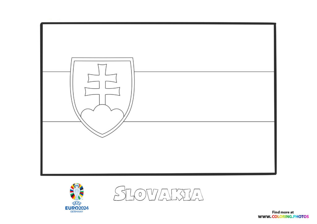 Slovakia flag Euro 2024