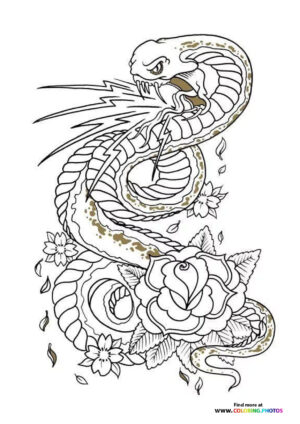 Snake and rose