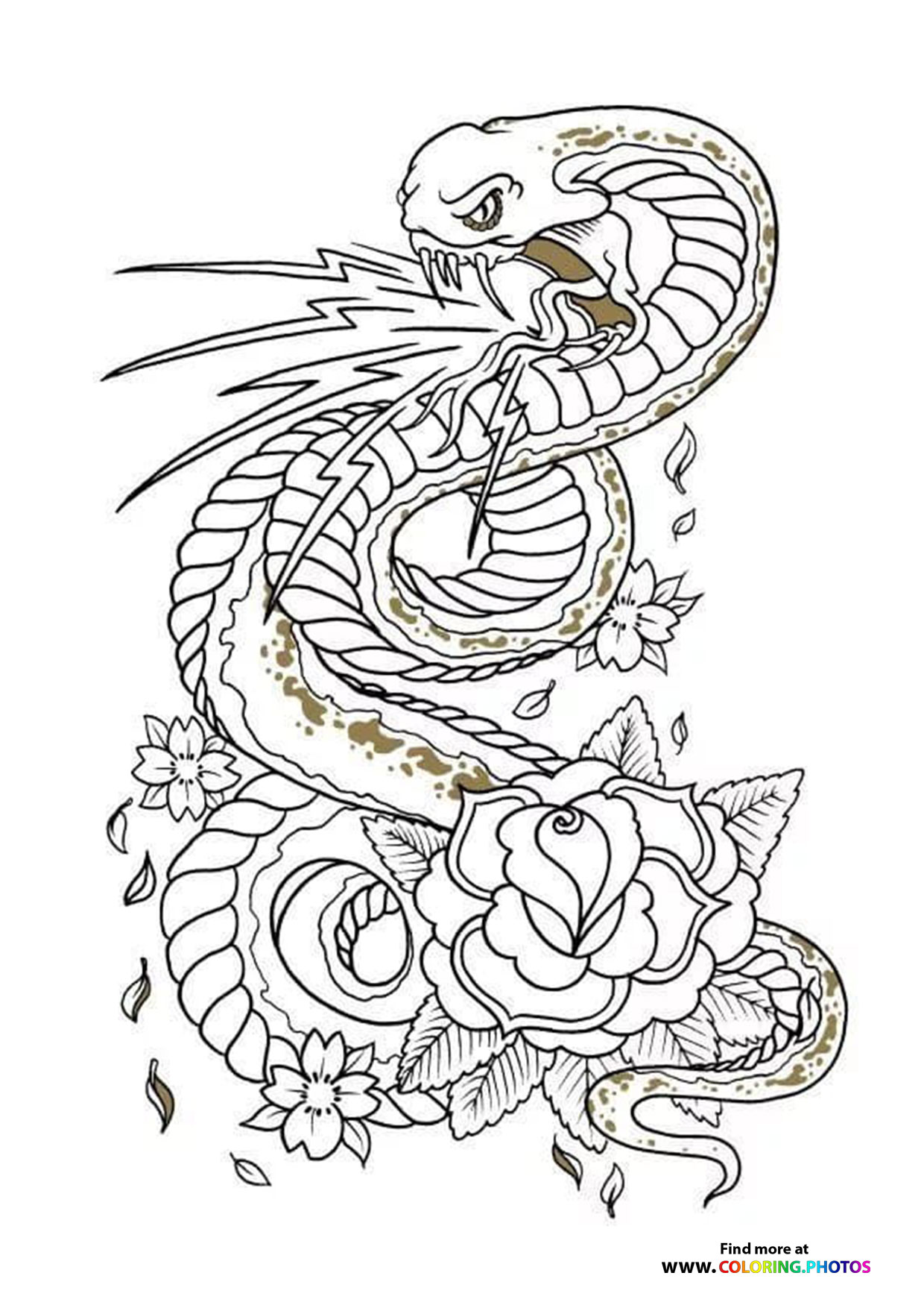 Snake and rose coloring for adults