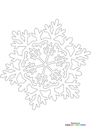 Snowflake3