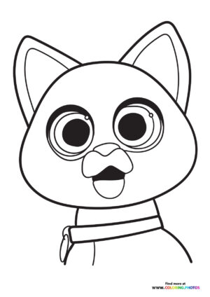 Sox the Cat