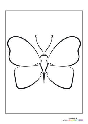 Special butterfly