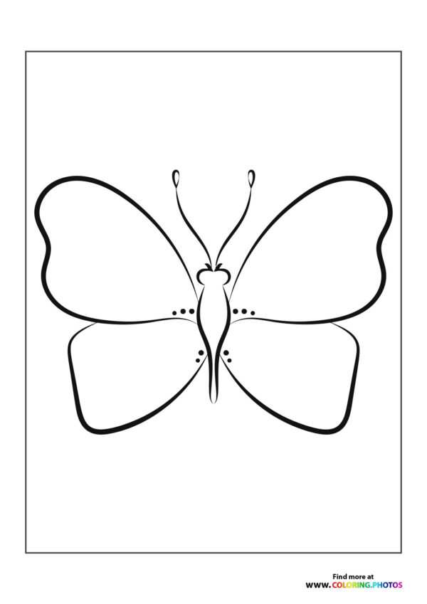 Special butterfly