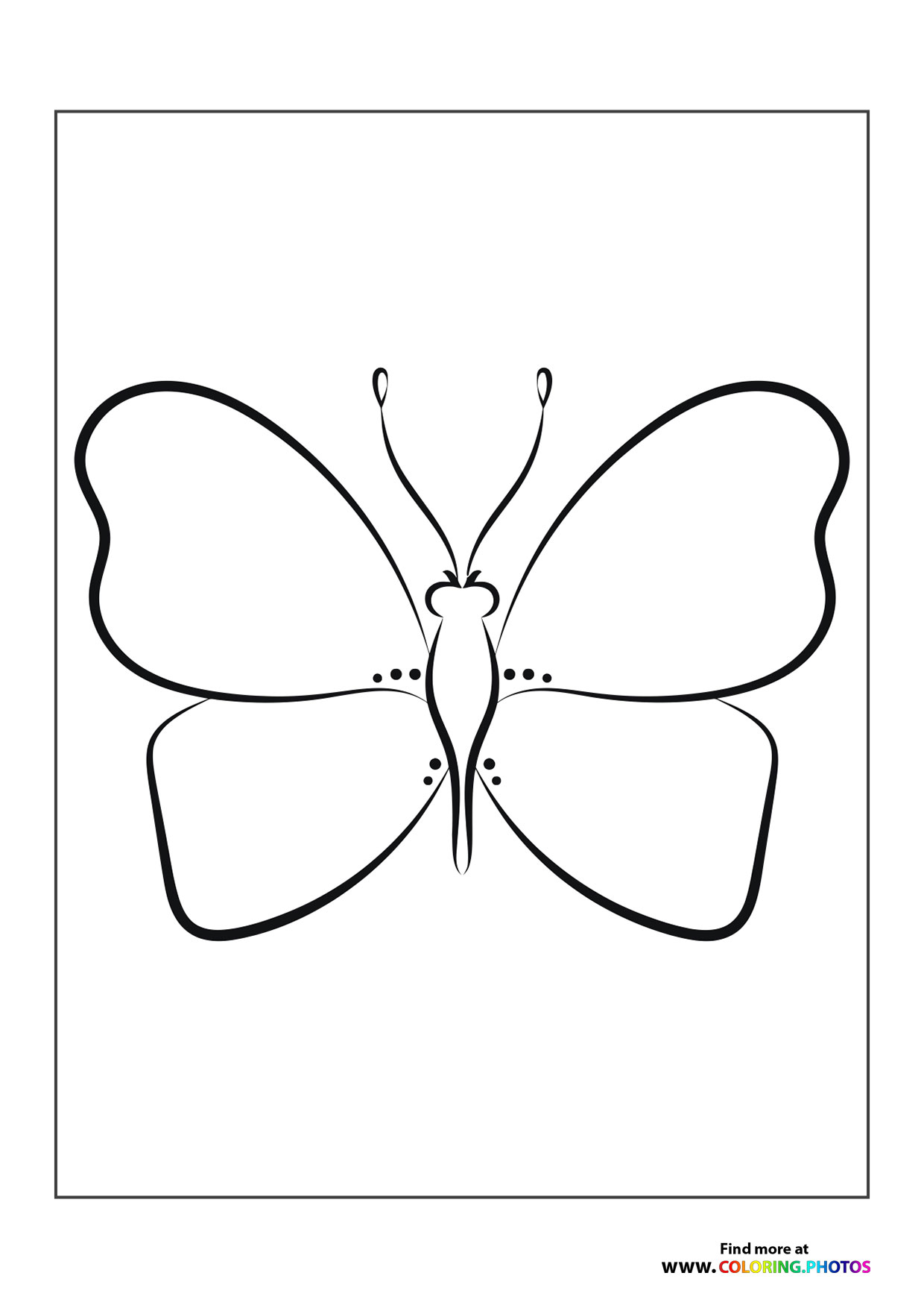 Special butterfly