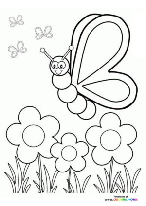 Spring butterfly