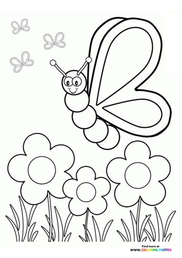 Spring butterfly
