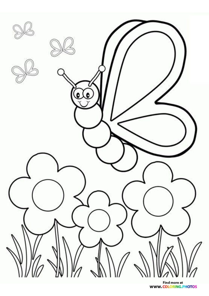 Spring butterfly