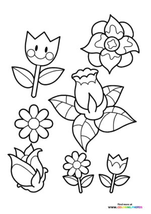 Spring flowers