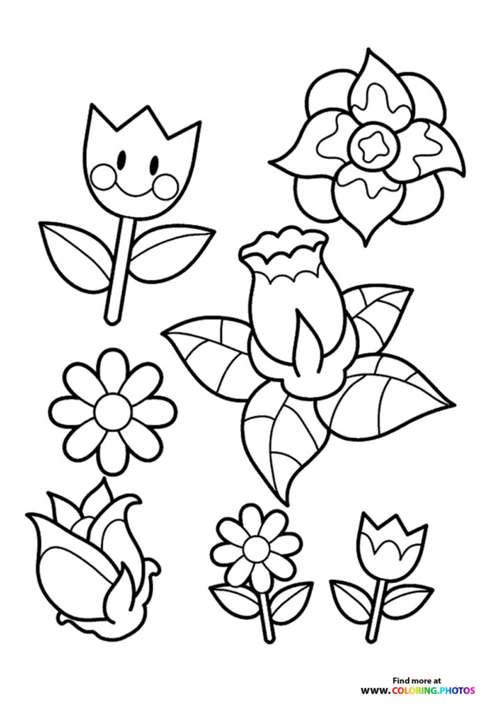 Spring flowers