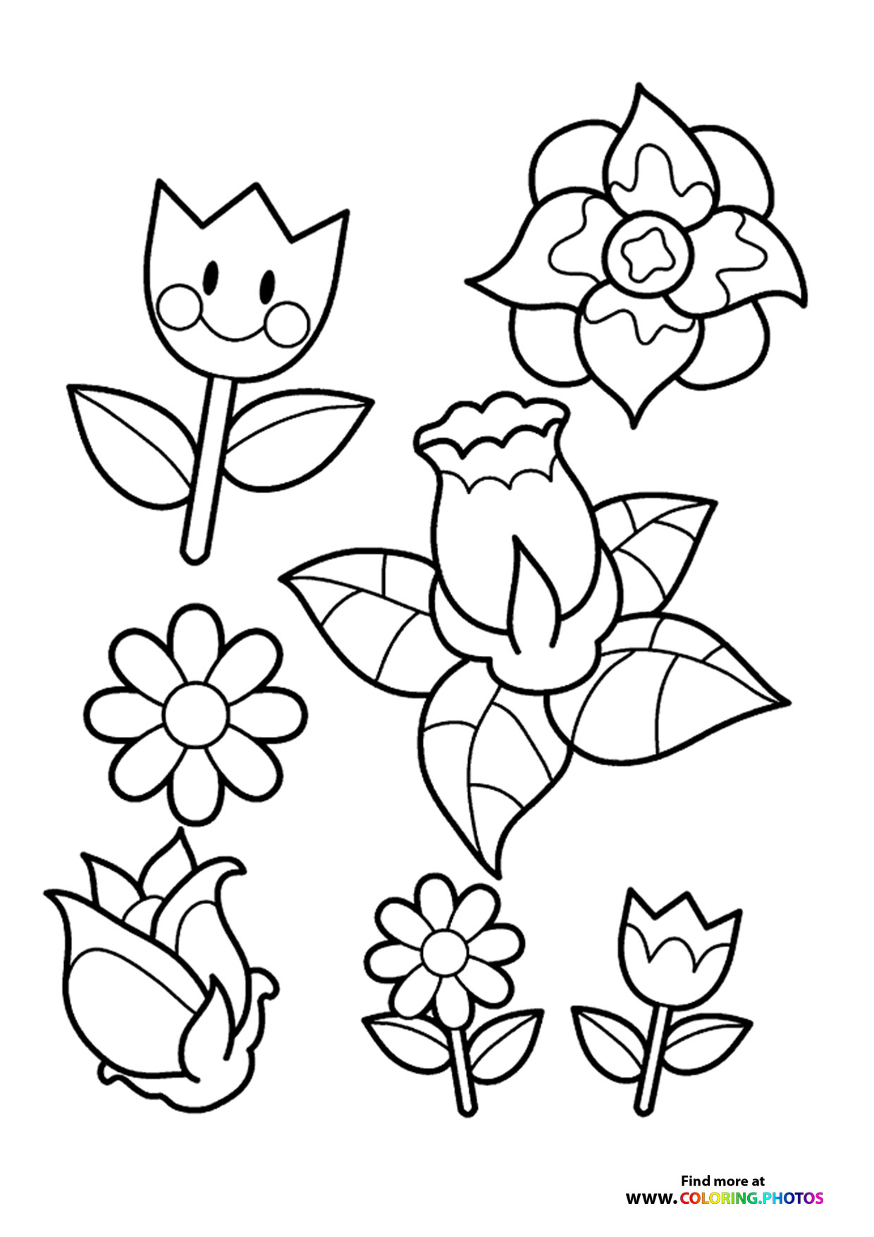 Spring flowers