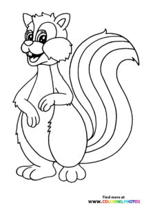 Squirrels