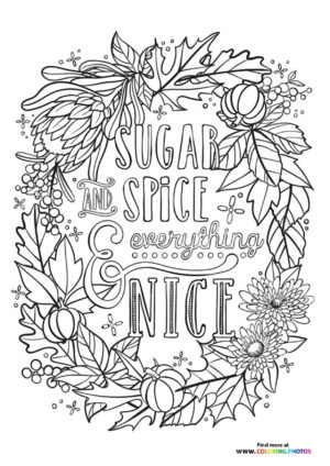 Sugar Spice and everything Nice