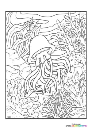 Summer sea Octopus