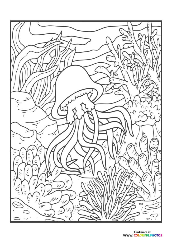 Summer sea Octopus